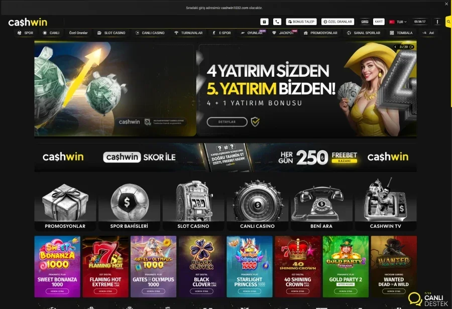 Cashwin arayüz görüntüsü